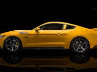 saleen s302 mustang label automobilesreview